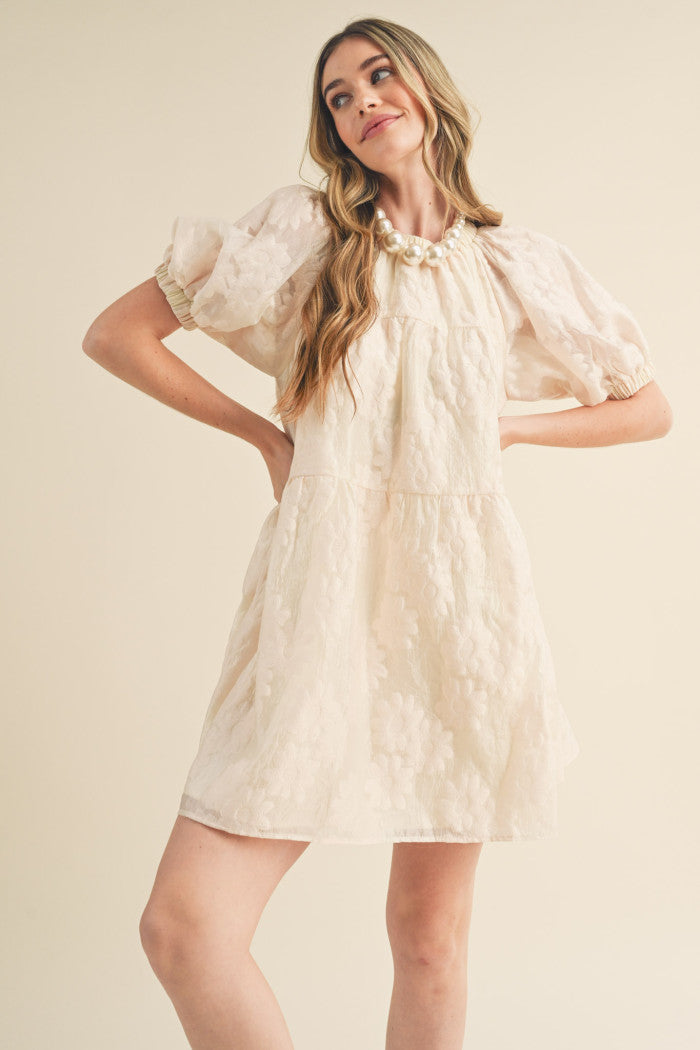 Teagan Puff Sleeve Babydoll Dress